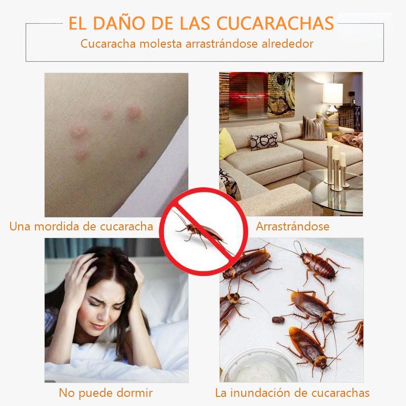 Holacasita™ BOMBAS DE ELIMINAR CUCARACHA