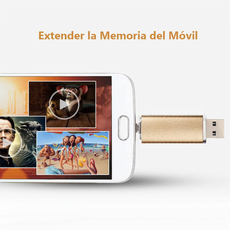 La Memoria USB de la Computadora y Móvil Android