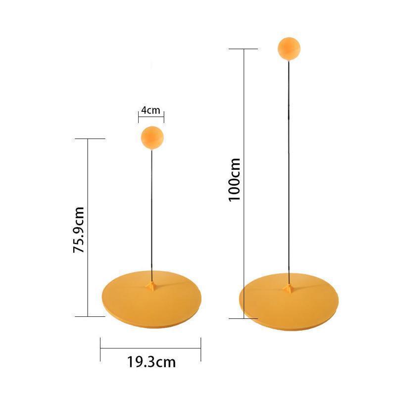 Entraîneur de tennis de table